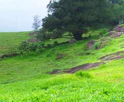 Coorg Travel Package