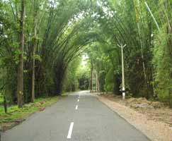 Honeymoon Tour To Coorg