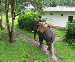 Coorg Package Tour
