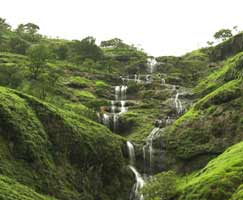 Coorg Tourism Honeymoon