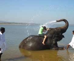 Coorg Tourism Package