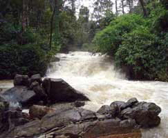 Tour Package In Coorg