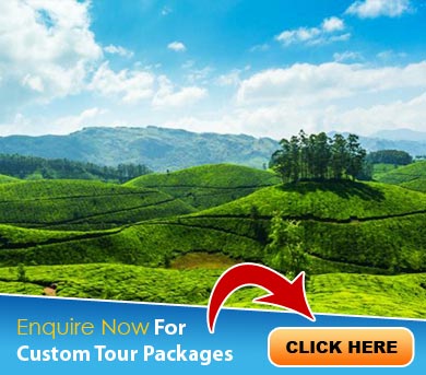 Coorg Tour Packages